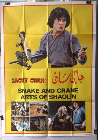 Snake and Crane Arts of Shaolin Poster