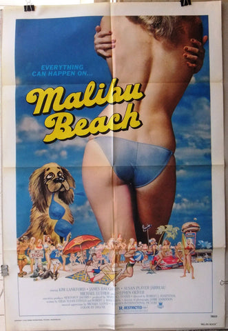 Malibu Beach Poster